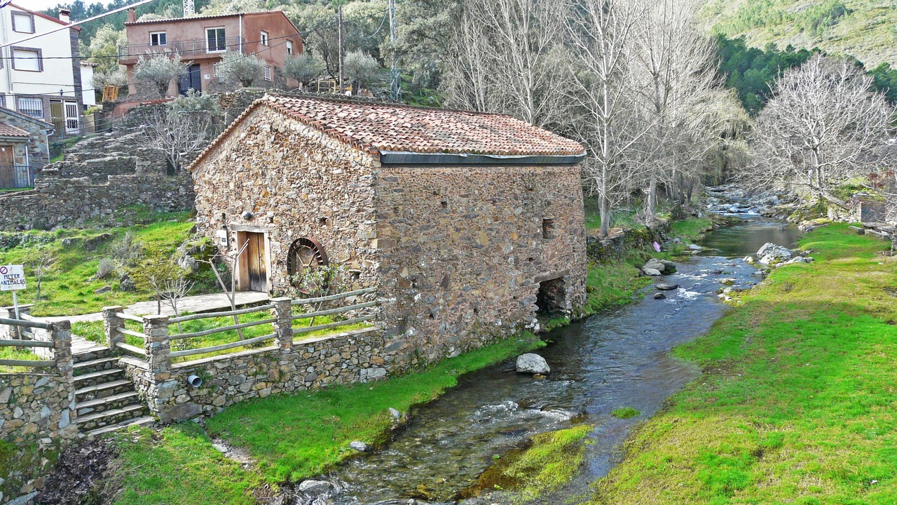 Photo of Others in Pinofranqueado