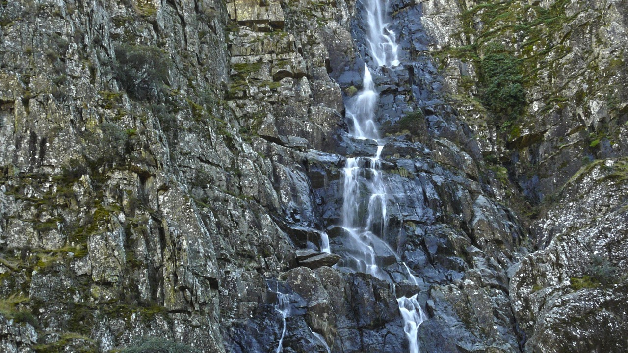 Photo of Others in Pinofranqueado