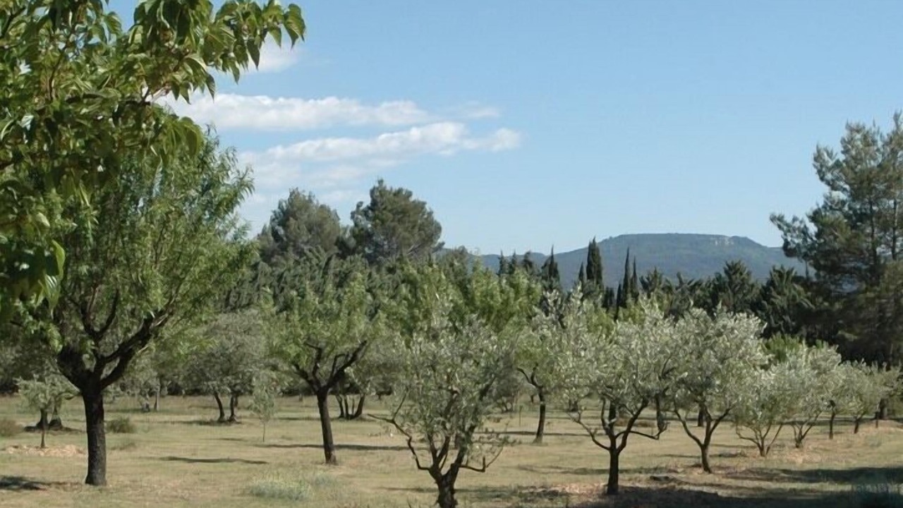 Photo of Outdoor in Puget