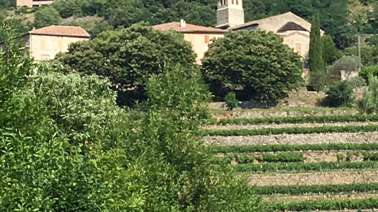 Photo of Others in Ribes