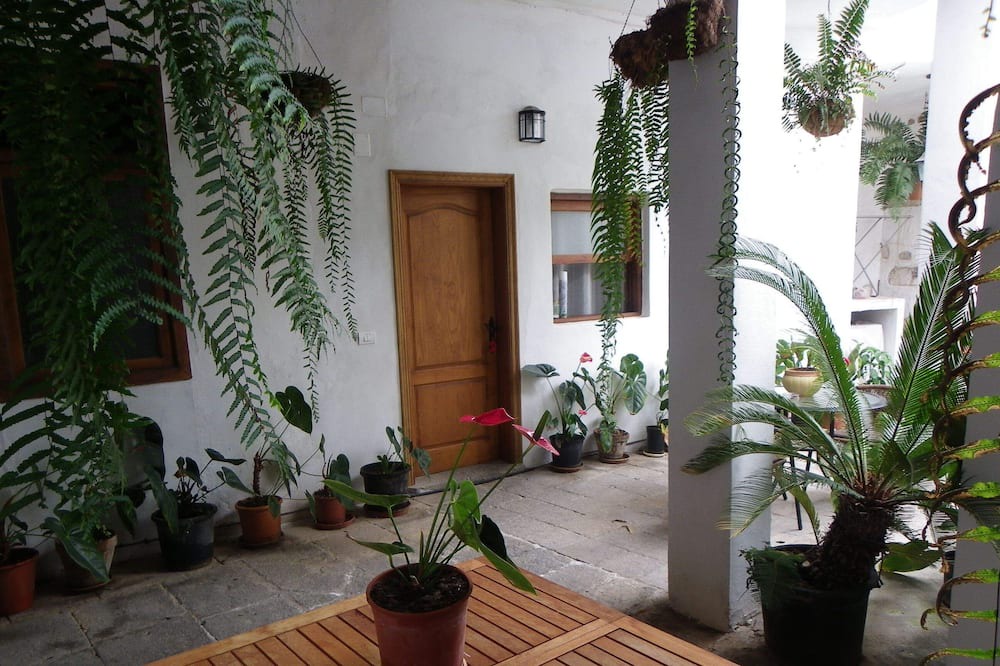 Photo of Patio Balcony in La Guancha