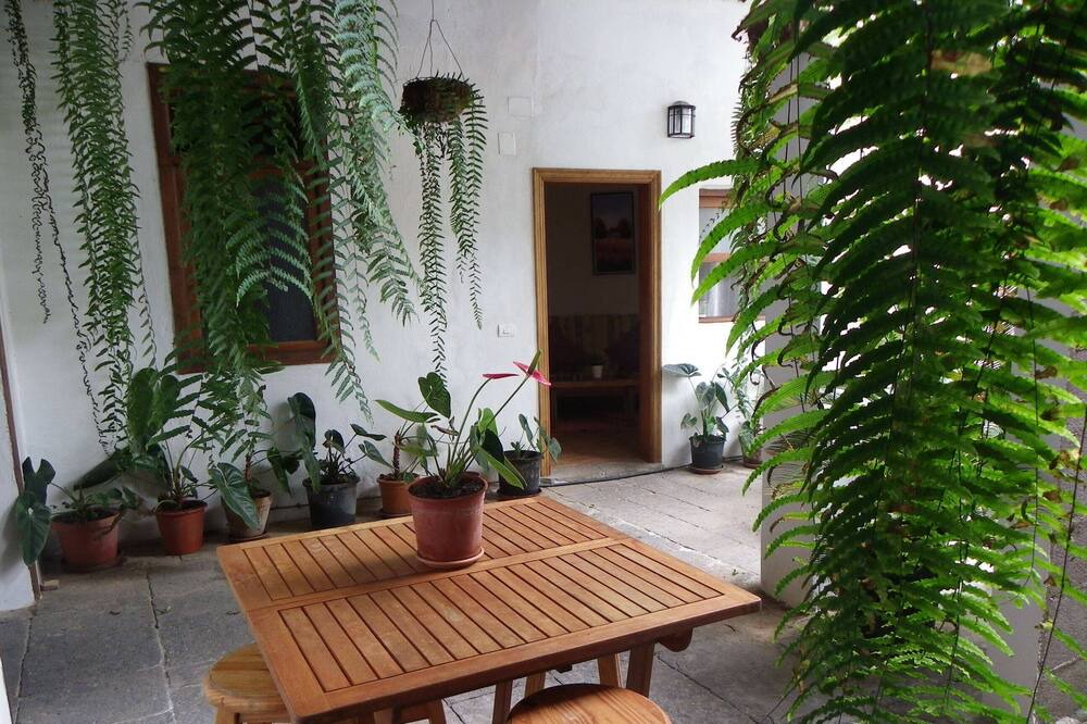 Photo of Patio Balcony in La Guancha