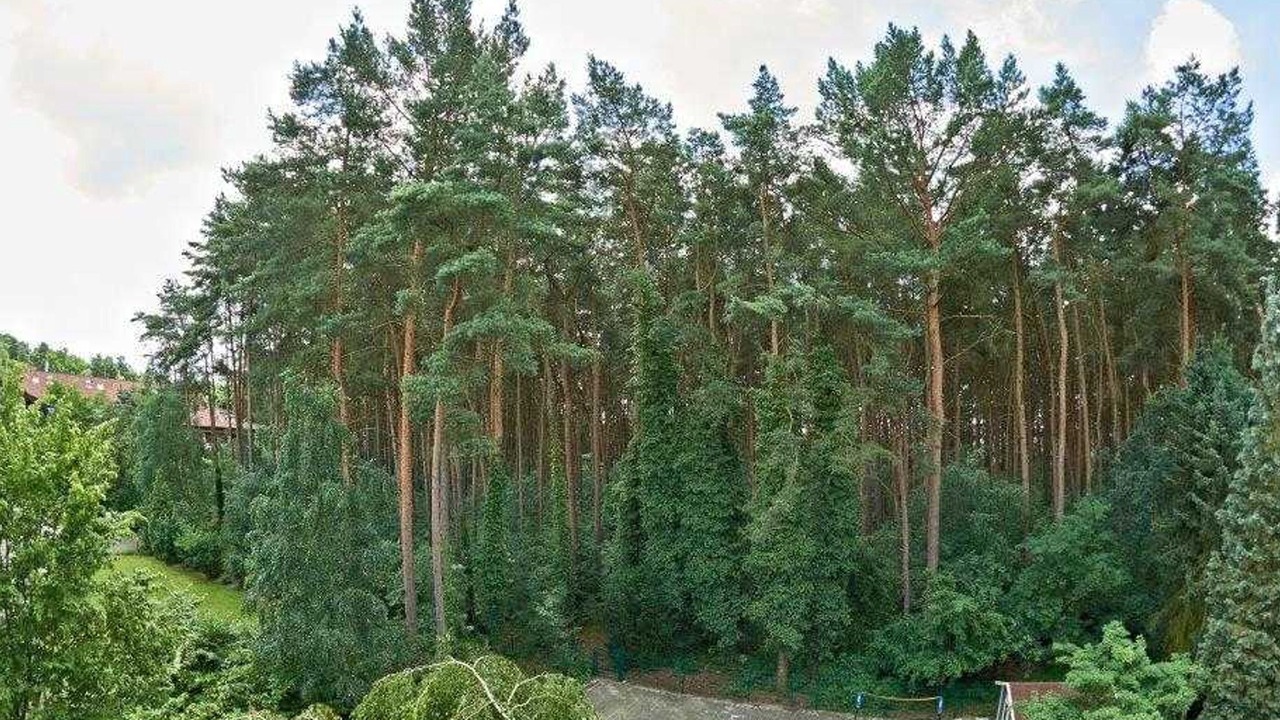 Photo of Outdoor in Bad Bevensen