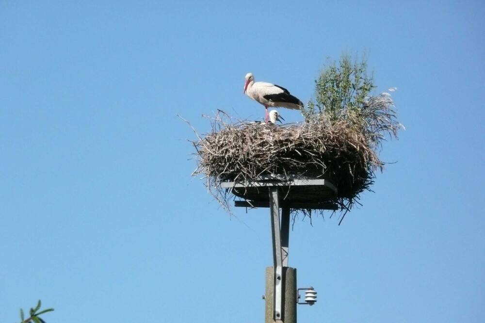 Photo of Outdoor in Kroeslin