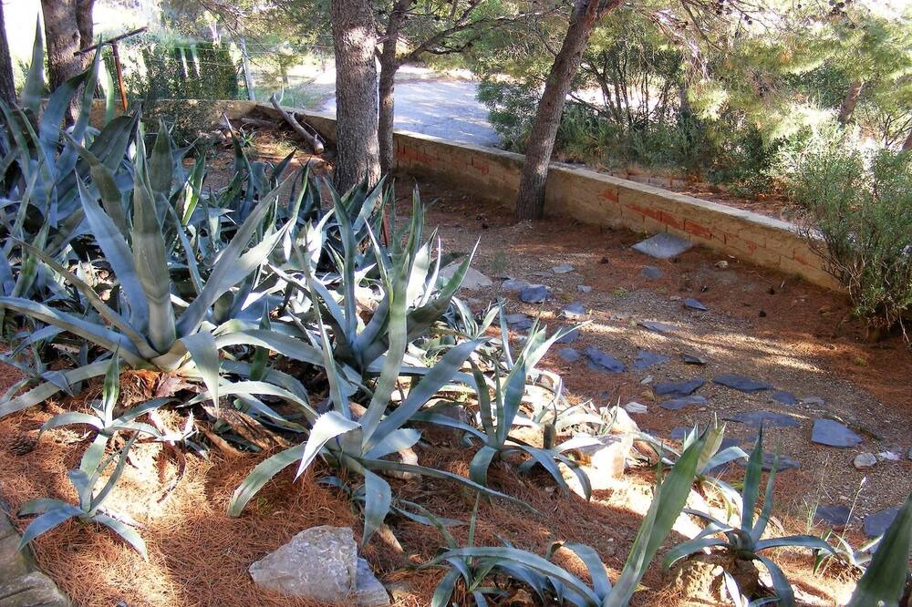 Photo of Outdoor in Llanca