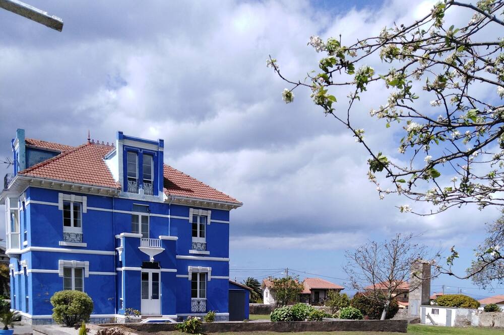 Photo of Outdoor in Ballota