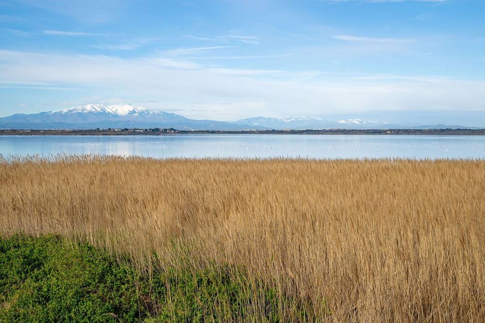 Photo of Outdoor in Saint-Nazaire