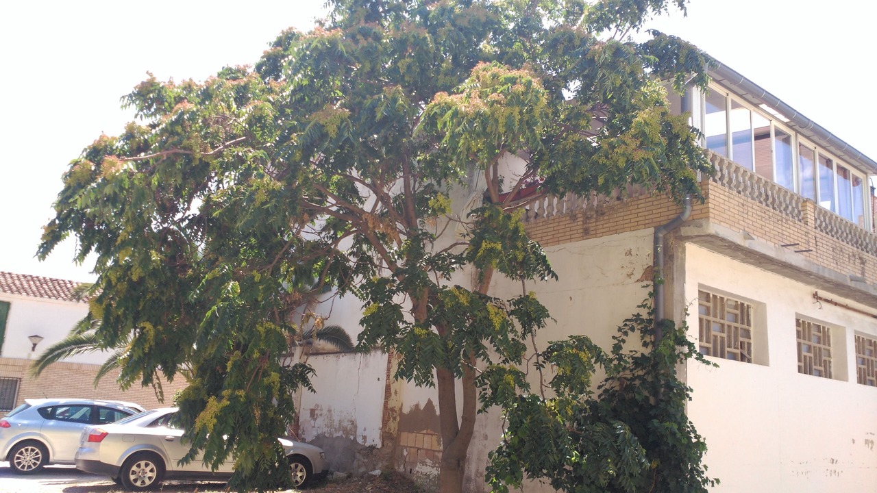 Photo of Outdoor in Valtierra