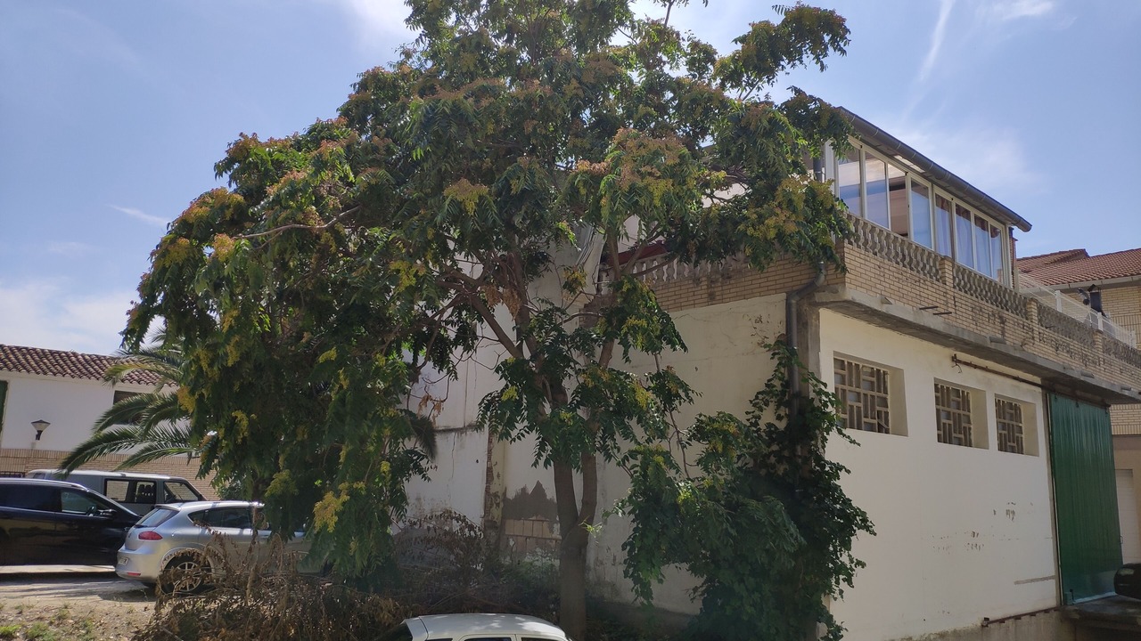 Photo of Outdoor in Valtierra