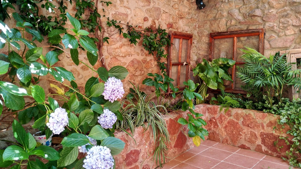 Photo of Outdoor in Hoyos