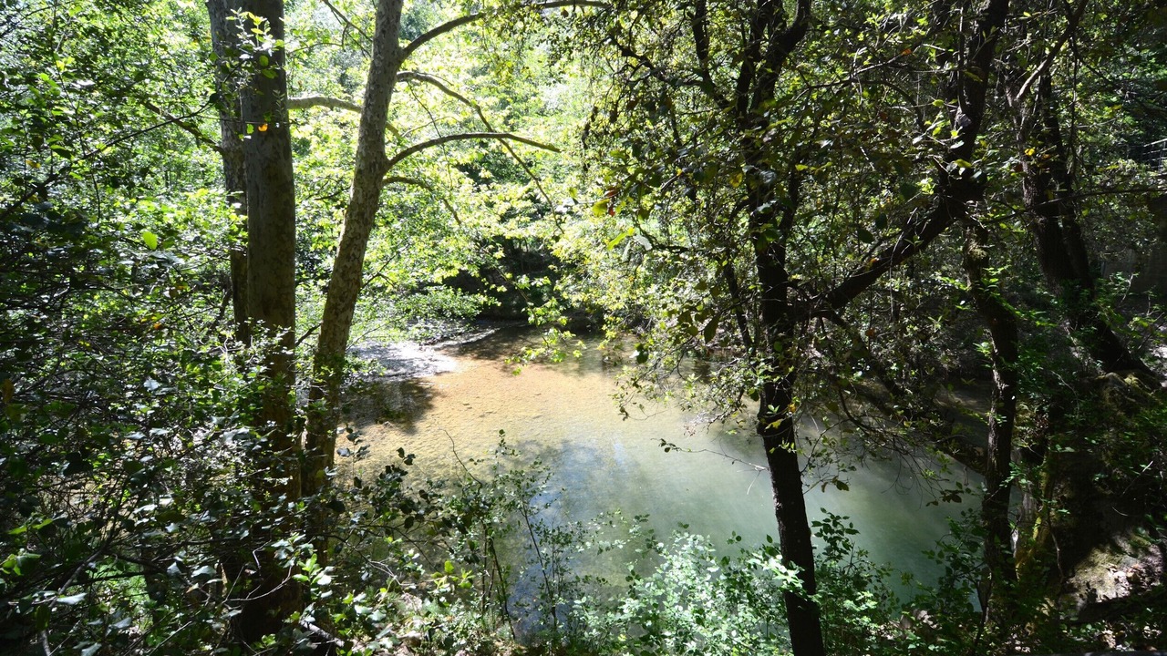 Photo of Outdoor in Albanya