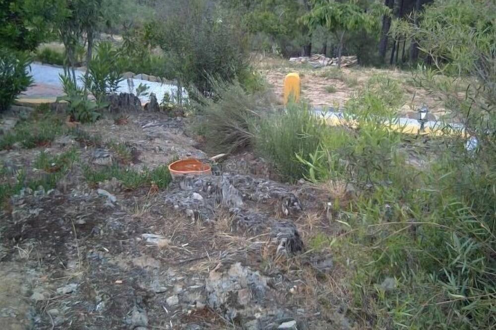 Photo of Outdoor in Garciaz