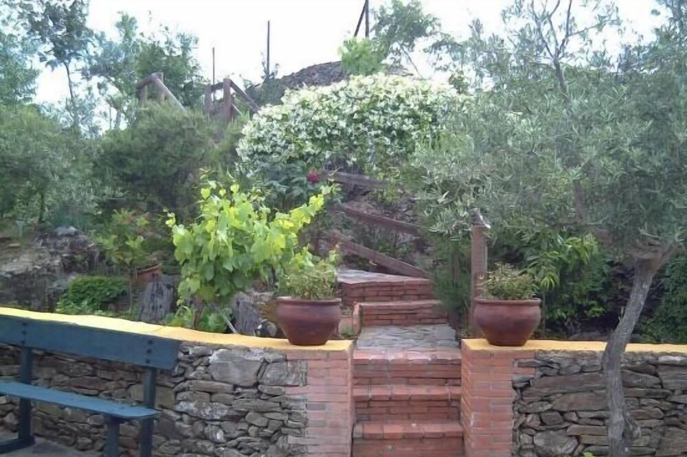 Photo of Outdoor in Garciaz