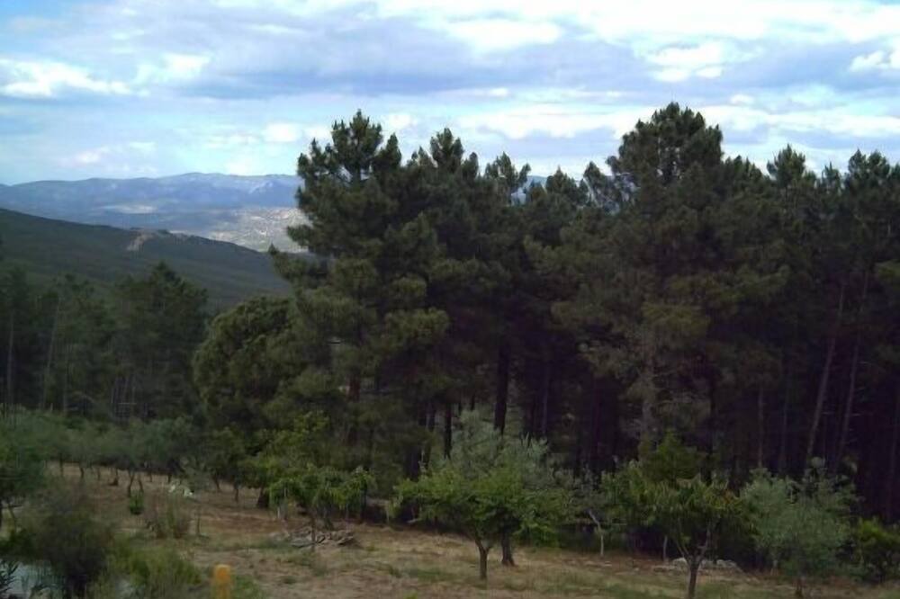 Photo of Outdoor in Garciaz