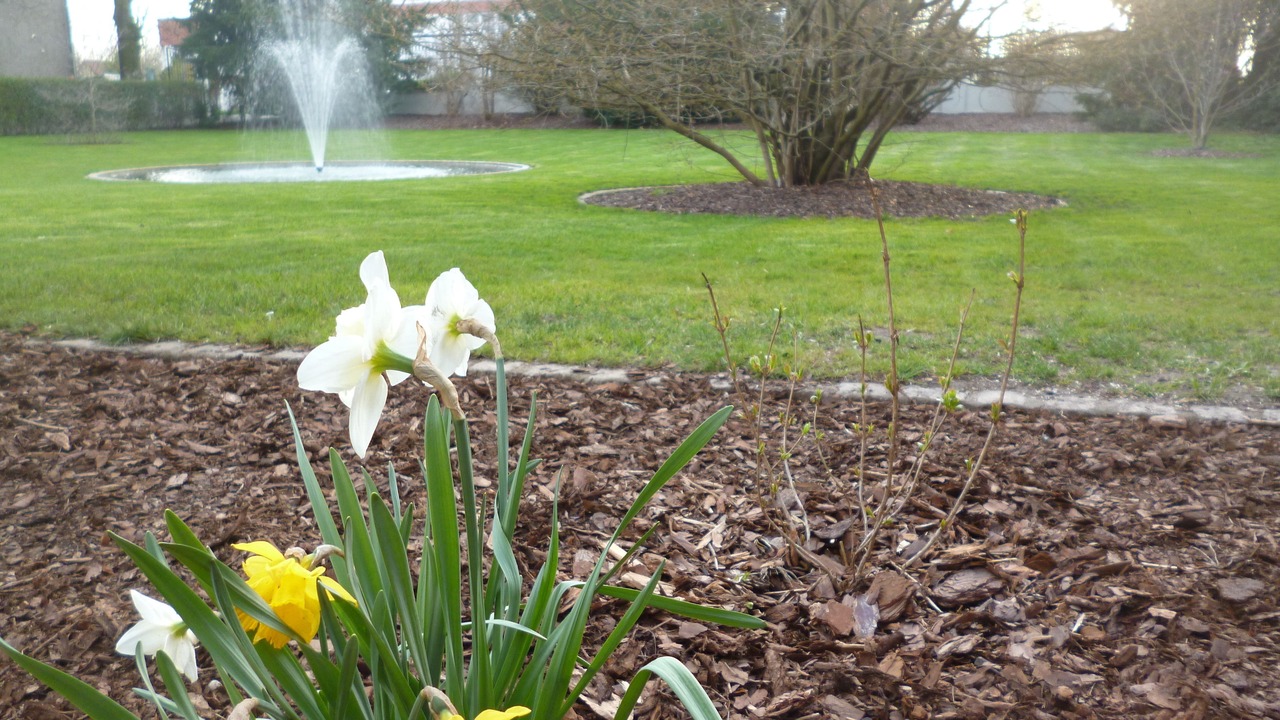 Photo of Outdoor in Burg