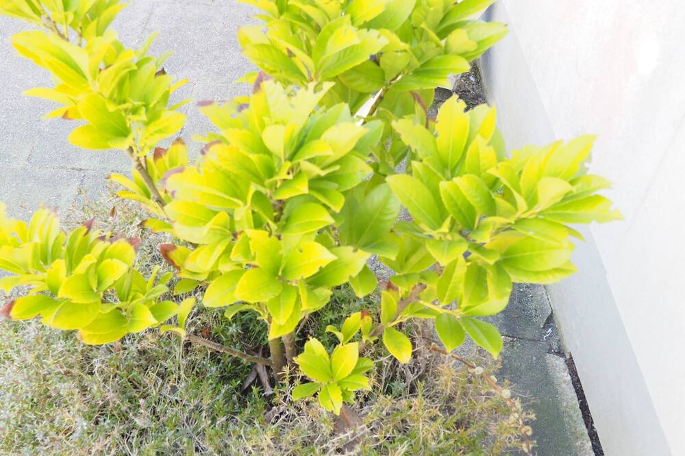 Photo of Outdoor in Busum