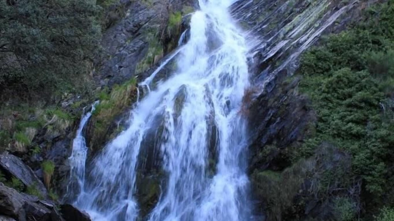 Photo of Outdoor in Pinofranqueado