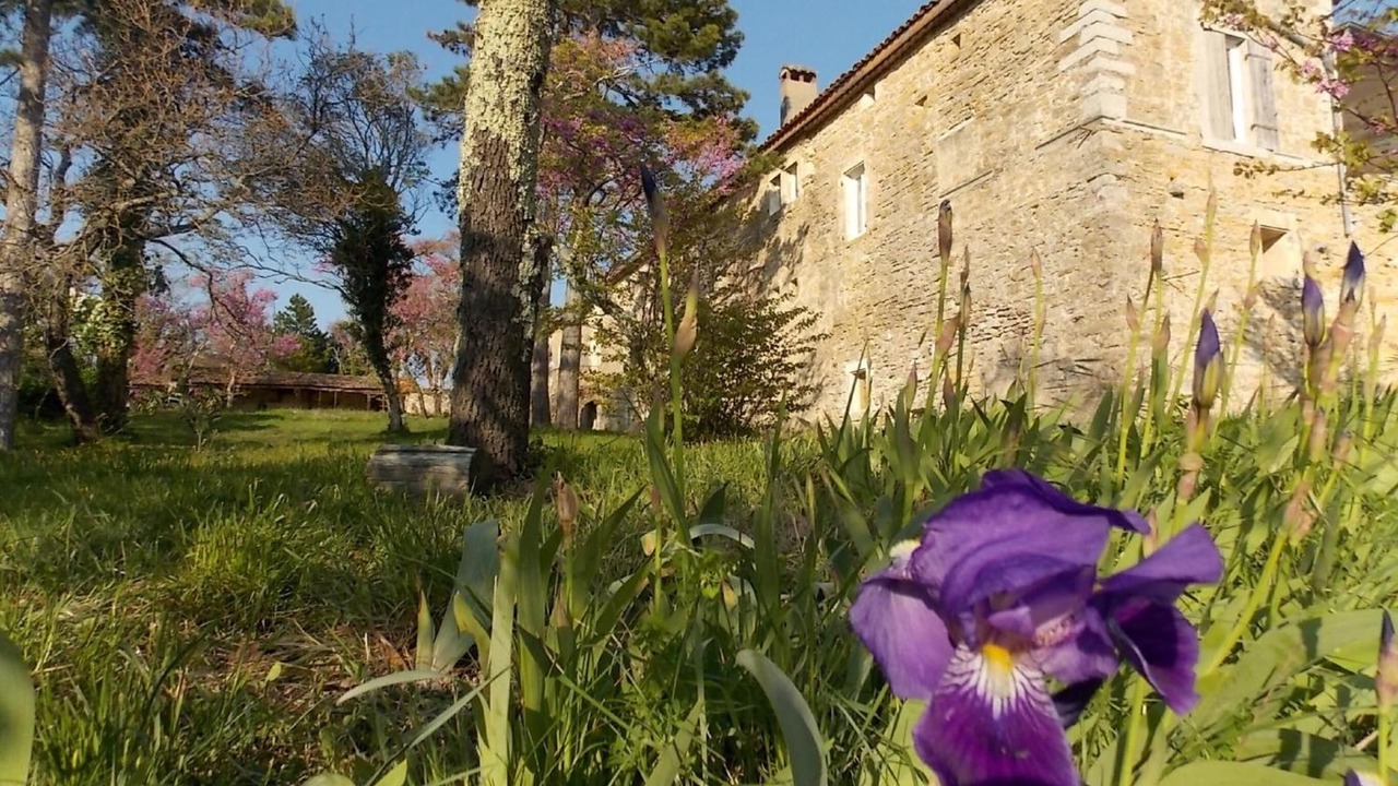 Photo of Outdoor in Lagorce