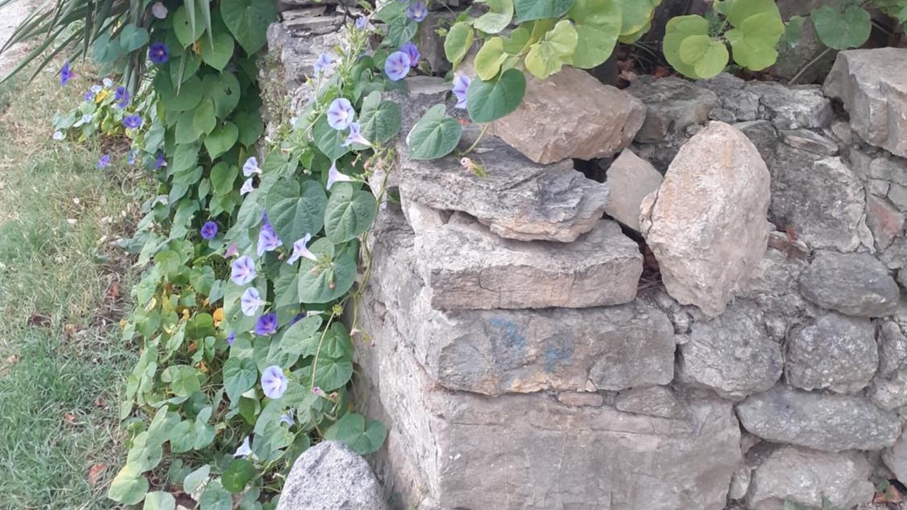 Photo of Outdoor in Lagorce