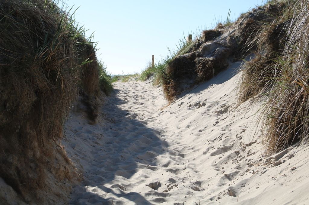 Photo of Others in St. Peter-Ording