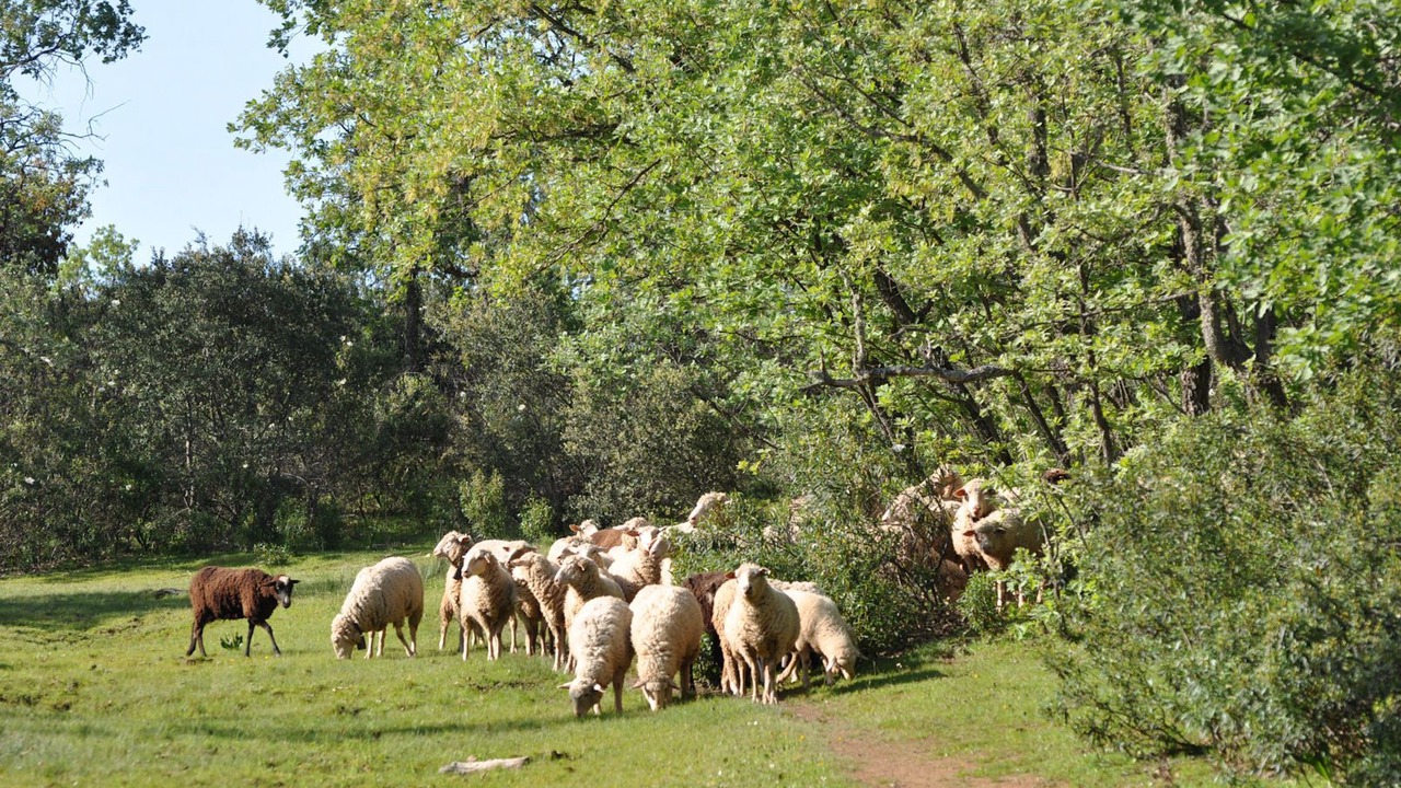 Photo of Outdoor in Valverde del Fresno