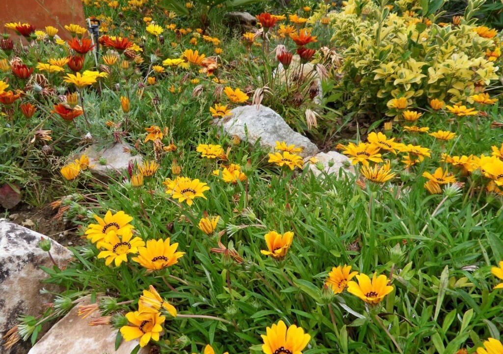 Photo of Outdoor in Alhaurin el Grande