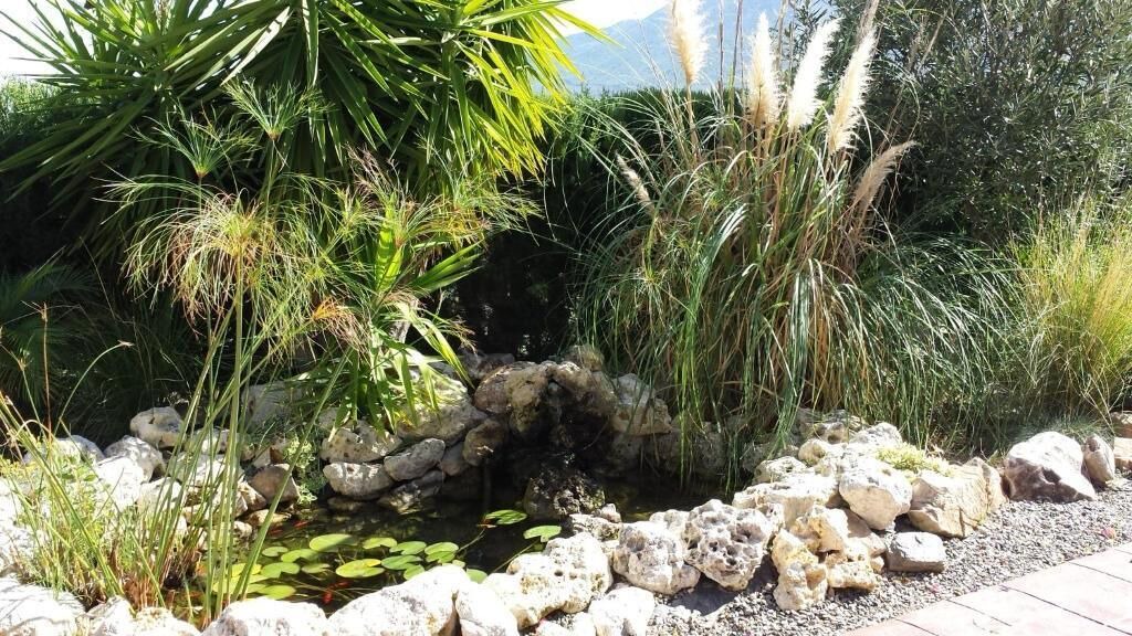 Photo of Outdoor in Alhaurin el Grande