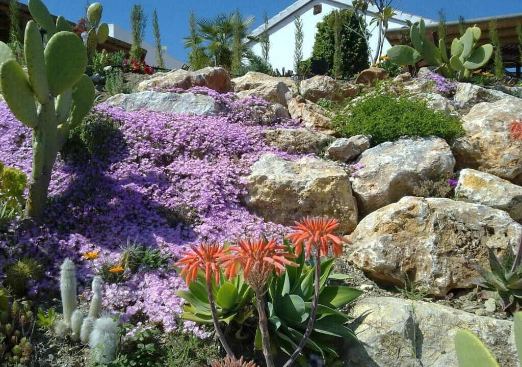 Photo of Outdoor in Alhaurin el Grande