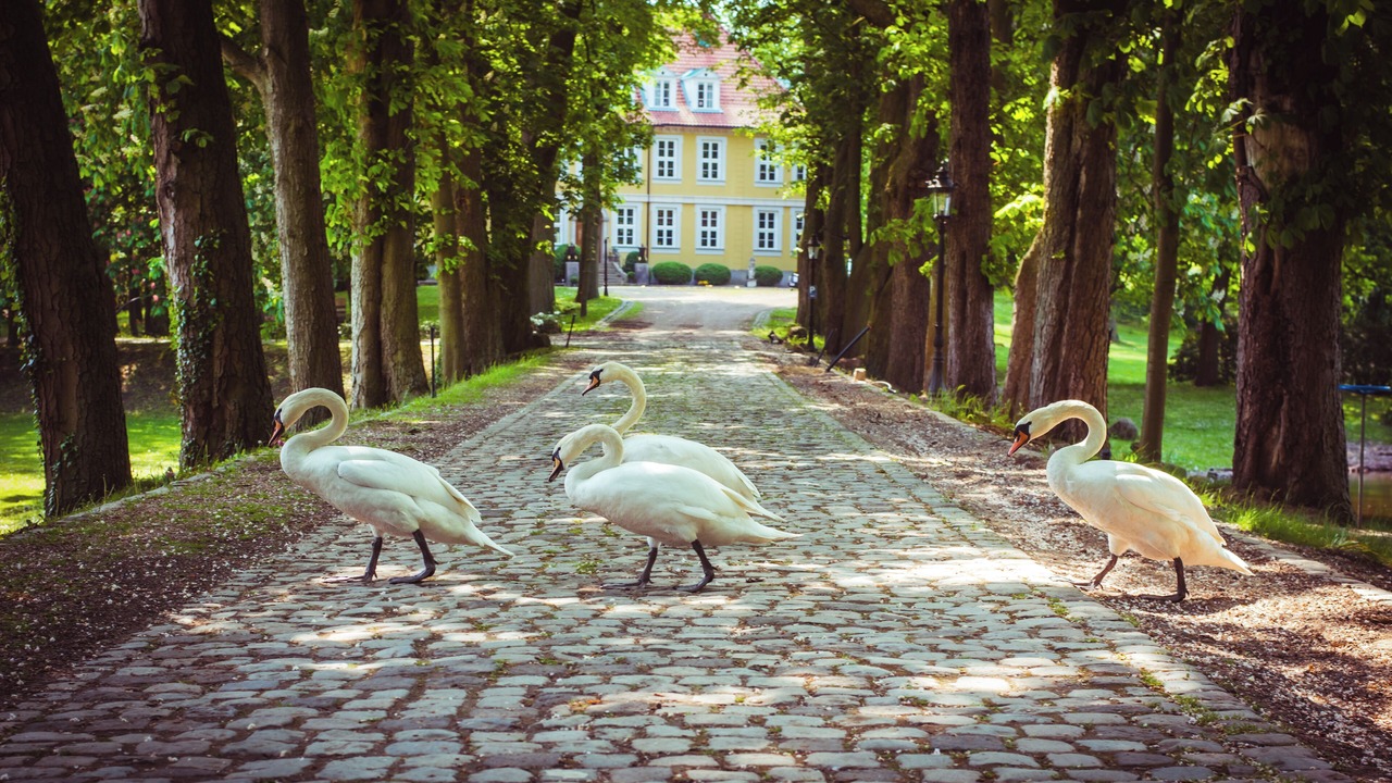 Photo of Others in Region Hannover District