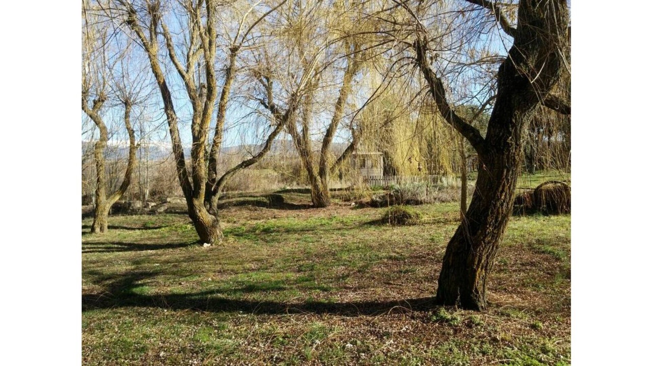 Photo of Outdoor in Torrecaballeros