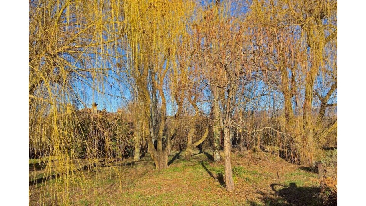 Photo of Outdoor in Torrecaballeros