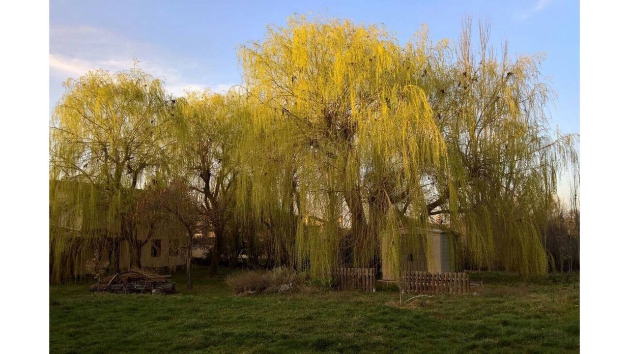 Photo of Outdoor in Torrecaballeros