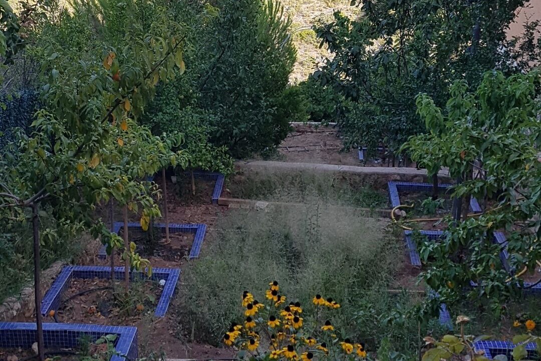 Photo of Outdoor in Albalate de Zorita