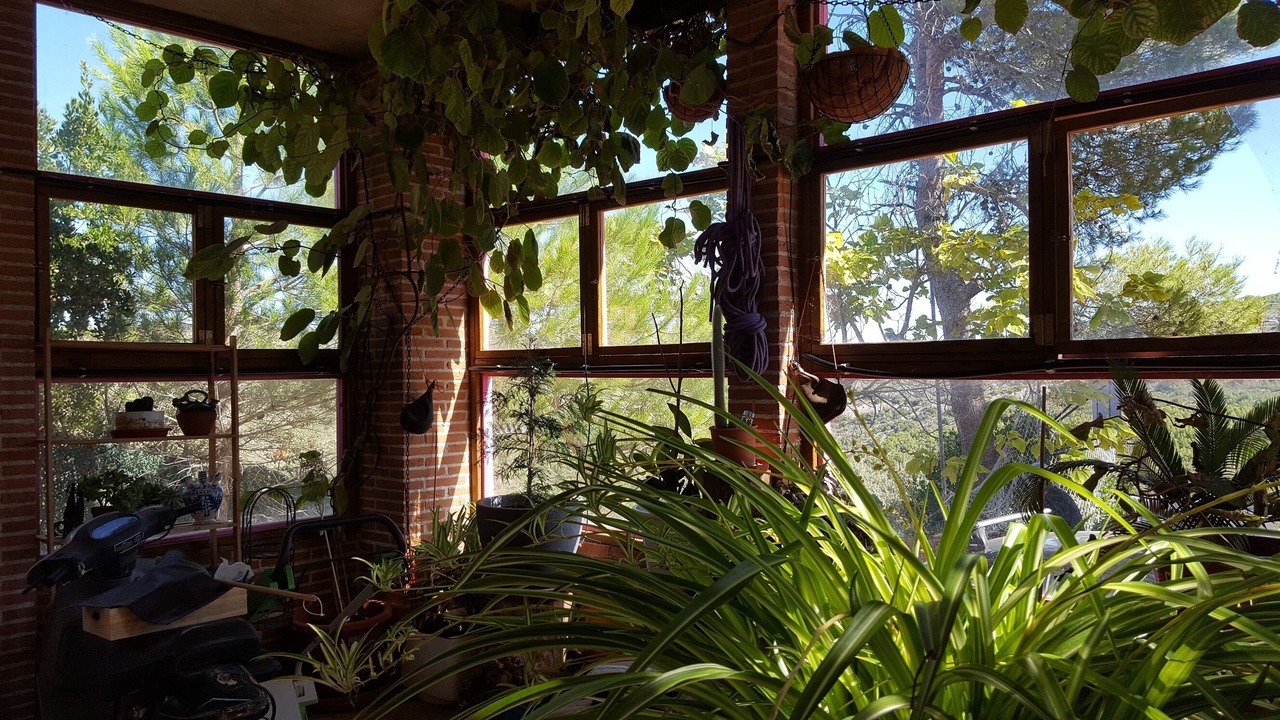 Photo of Outdoor in Albalate de Zorita