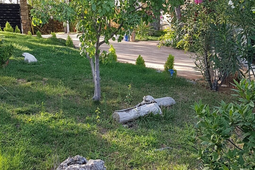 Photo of Outdoor in Albalate de Zorita