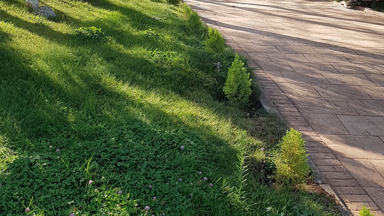 Photo of Outdoor in Albalate de Zorita