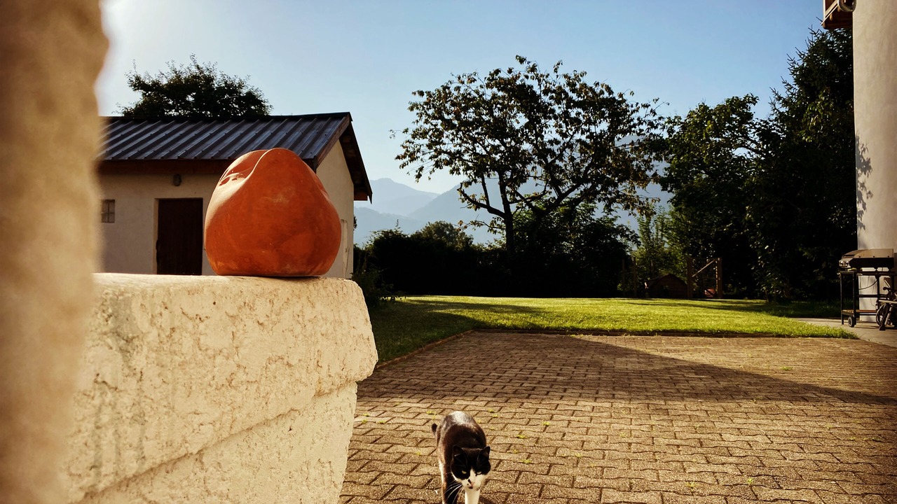 Photo of Outdoor in Cluses