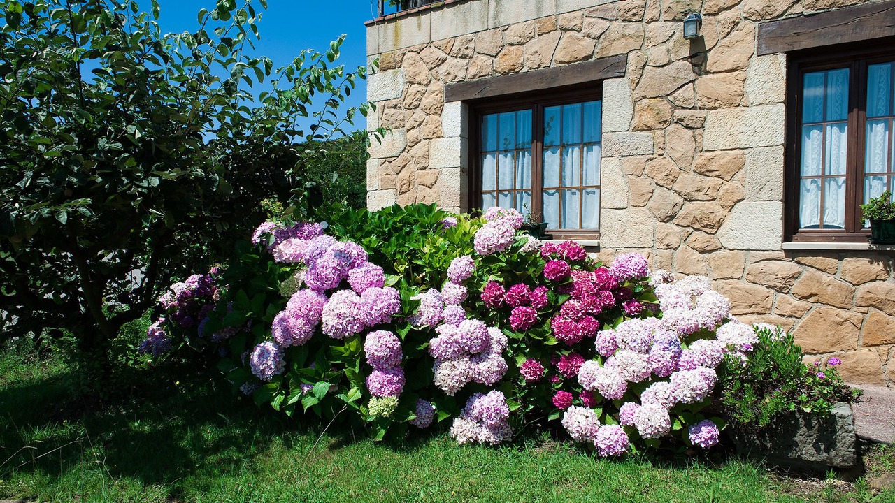 Photo of Outdoor in Santillana del Mar