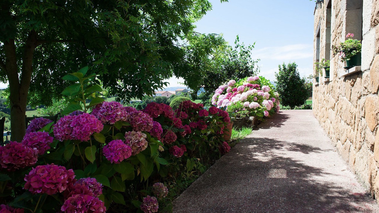 Photo of Outdoor in Santillana del Mar