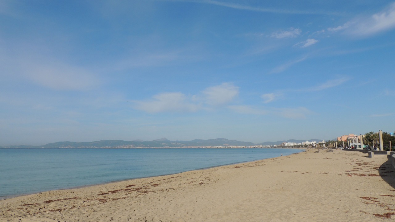 Photo of Others in Ses Cadenes