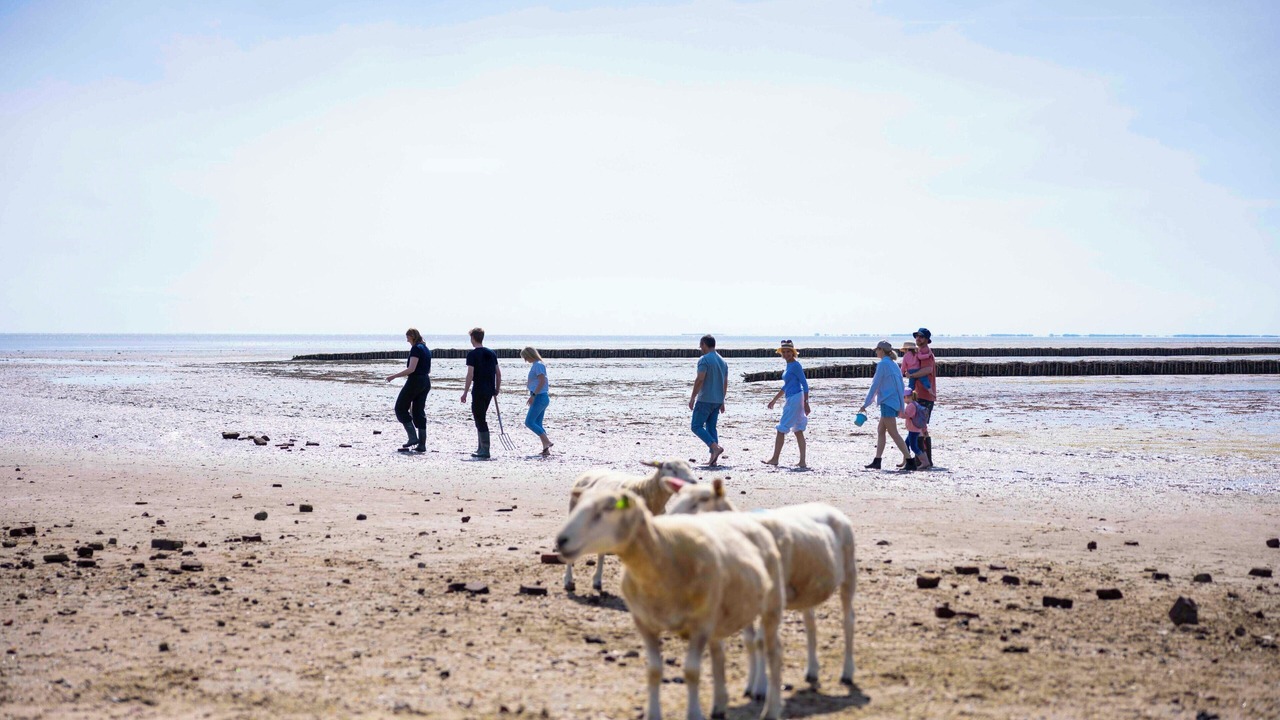 Photo of Outdoor in Rantum