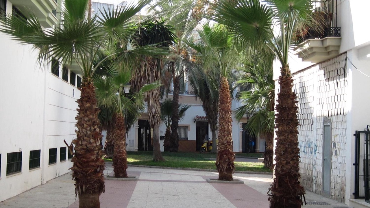 Photo of Outdoor in Salobrena