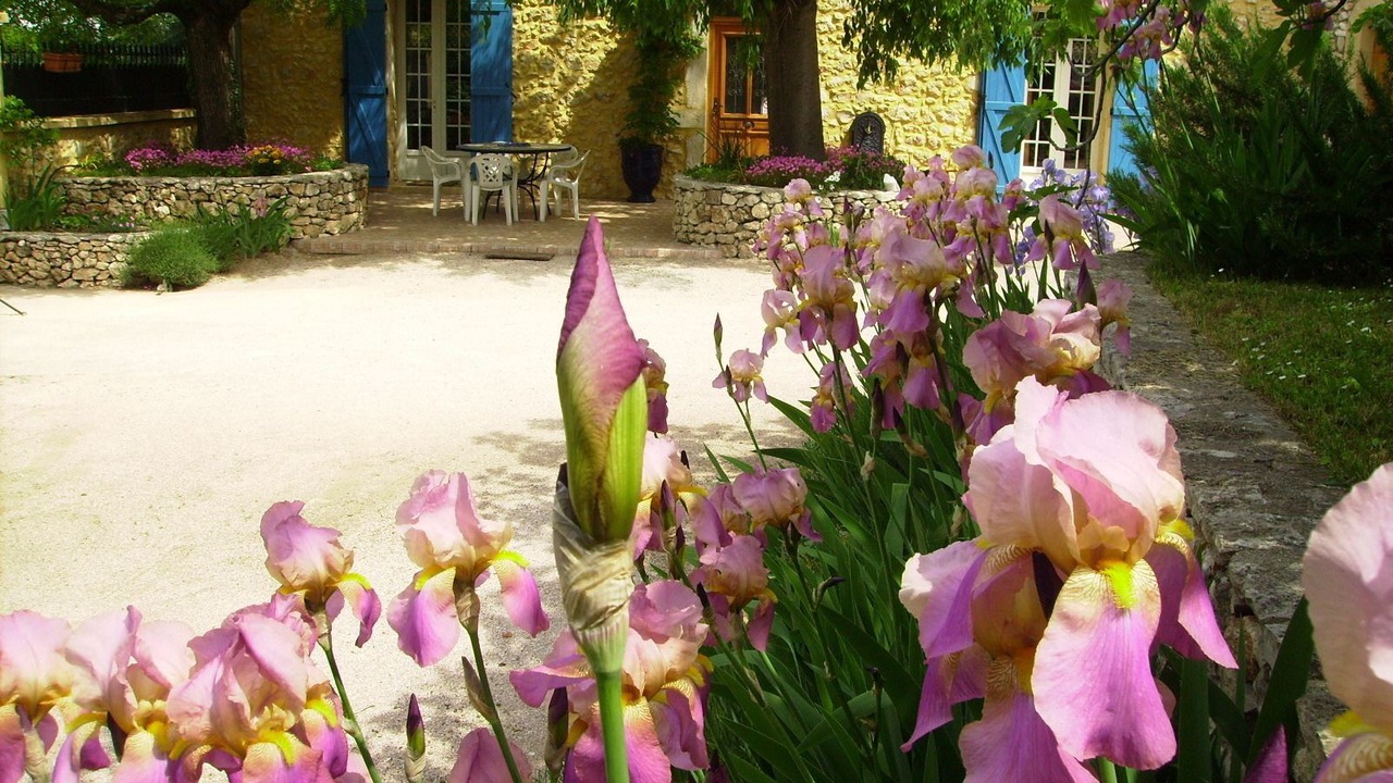 Photo of Outdoor in Russan