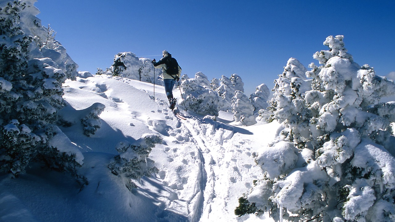 Photo of Outdoor in Lelex