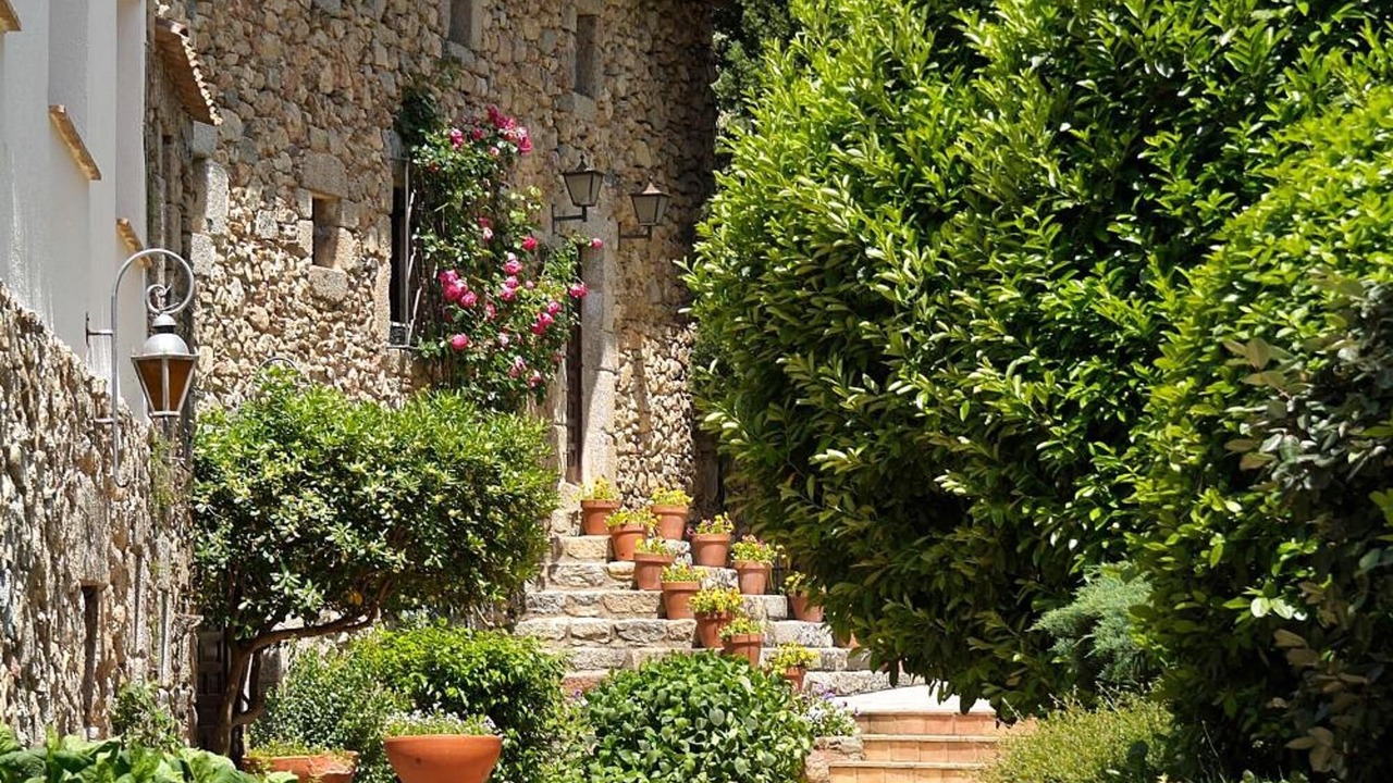 Photo of Outdoor in Macanet de Cabrenys