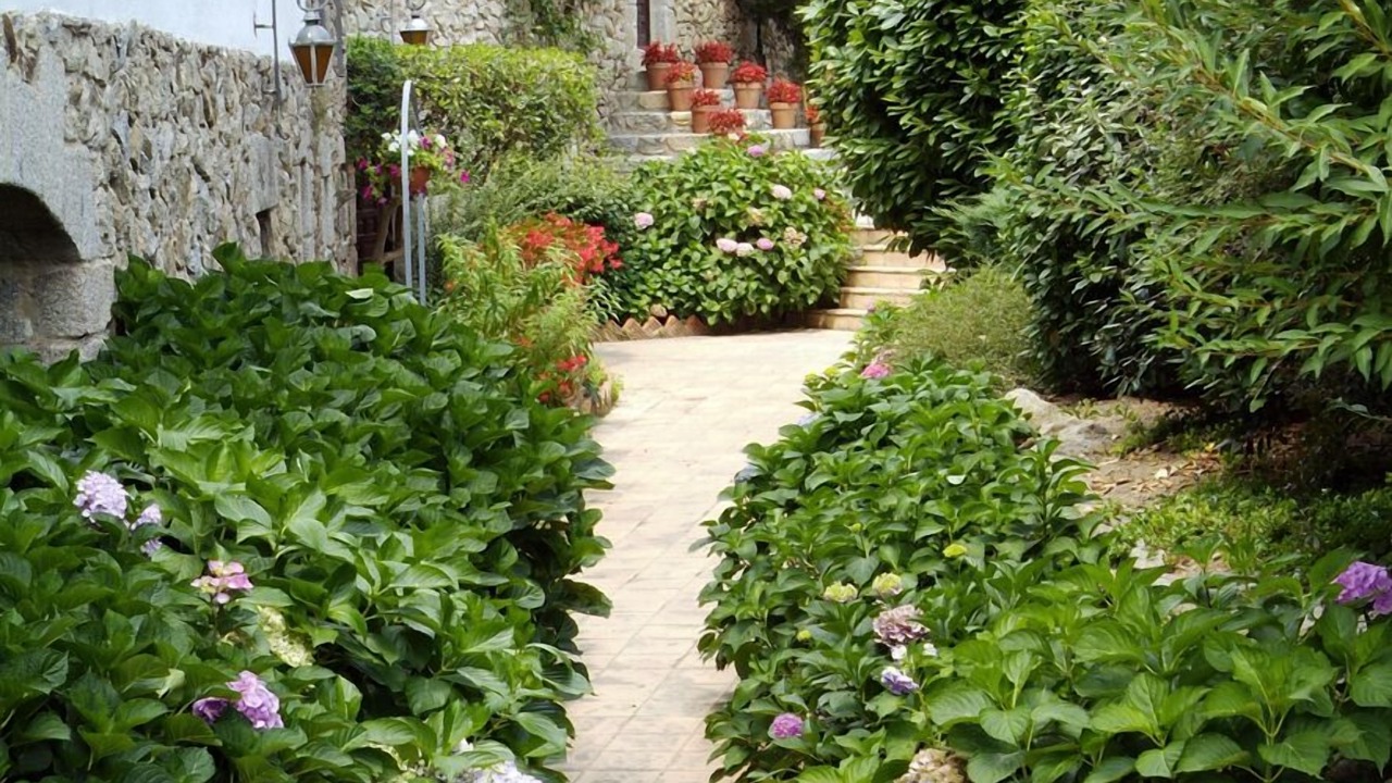 Photo of Outdoor in Macanet de Cabrenys