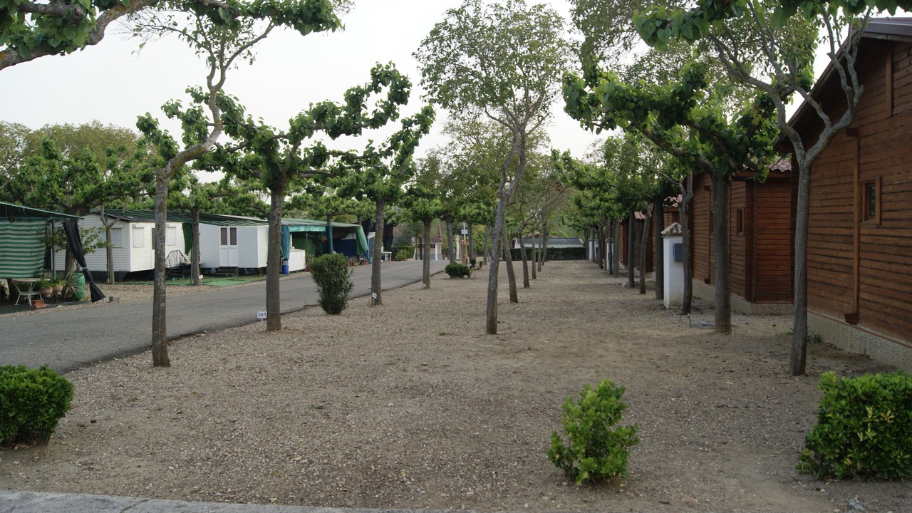 Photo of Outdoor in La Carlota