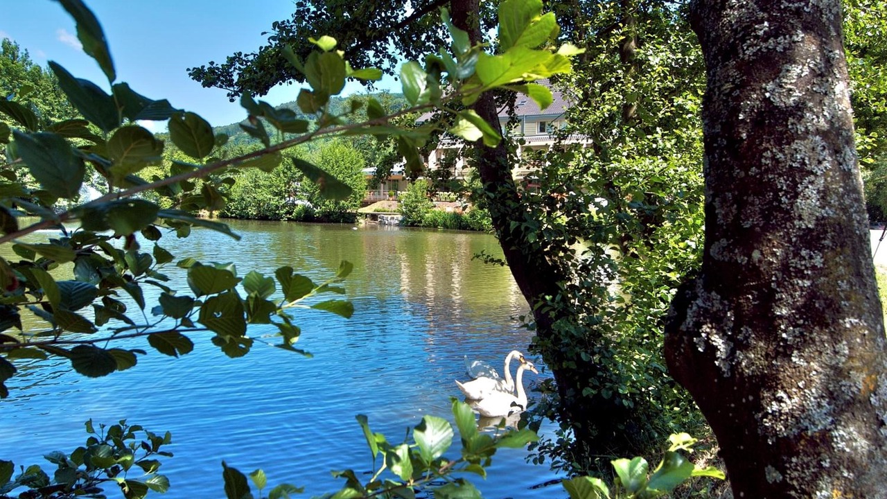 Photo of Outdoor in Guebwiller