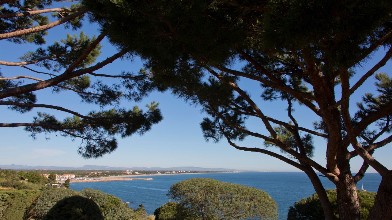 Photo of Bedroom in Plage d'Argeles