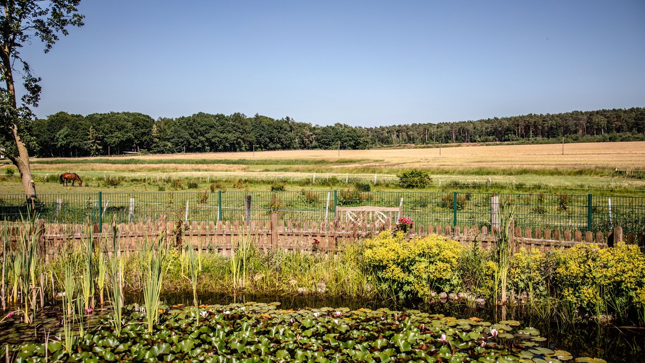 Photo of Outdoor in Kirchseelte